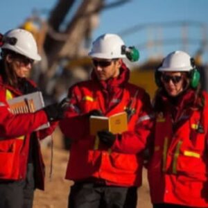 PROVEEDORES MINEROS EN ESTADO DE ALERTA ADVIERTEN LA LLEGADA DE FOREANOS. Y GENERA PREOCUPACIÓN