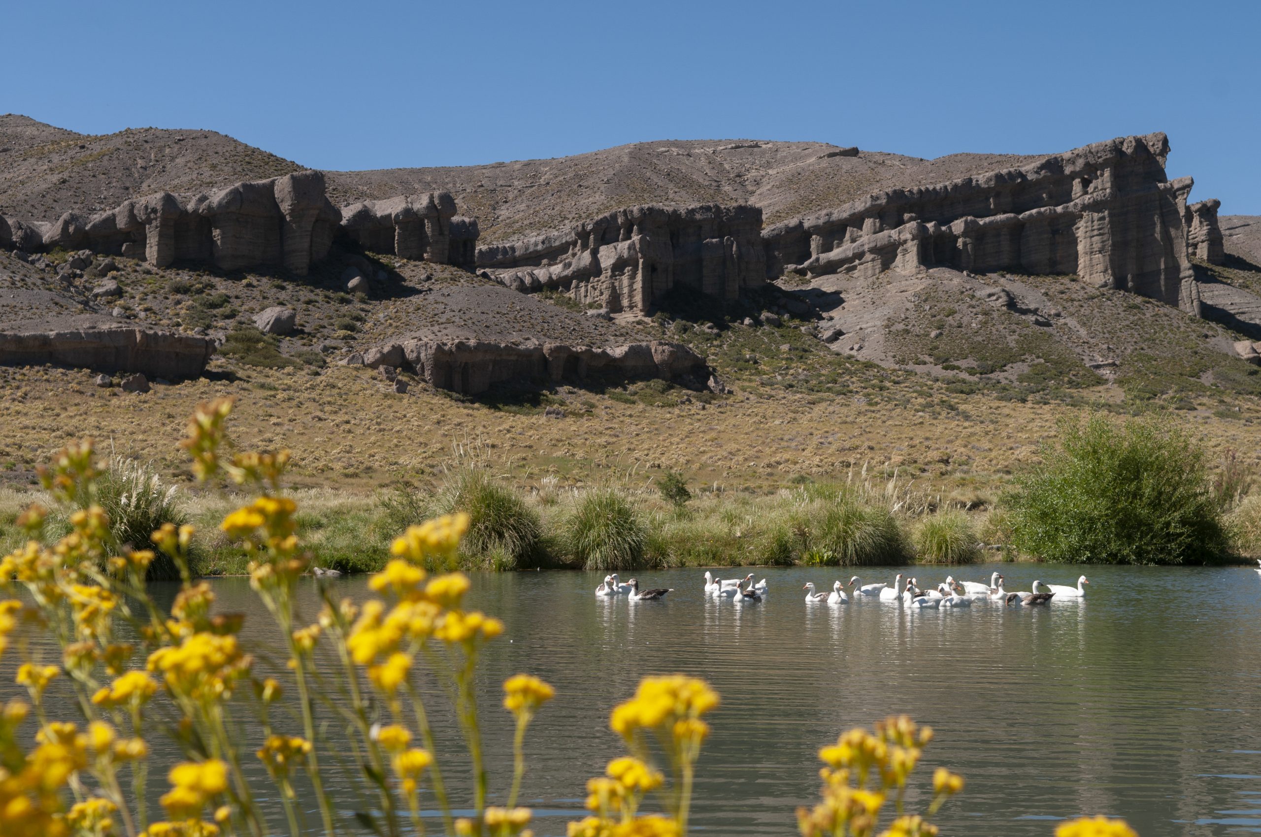 Mendoza, entre los destinos más populares de Google en el Día Internacional del Turismo