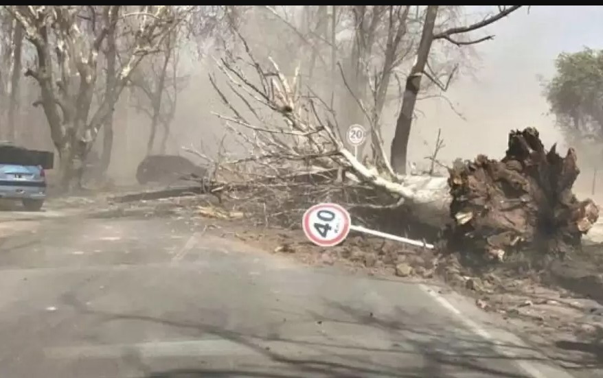 El Zonda dejó una víctima fatal y más de 400 emergencias en Mendoza