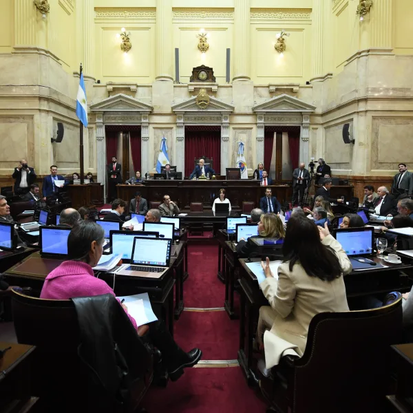 El Senado rechazó el veto de Milei y reactivó la ley de Emergencia en Discapacidad