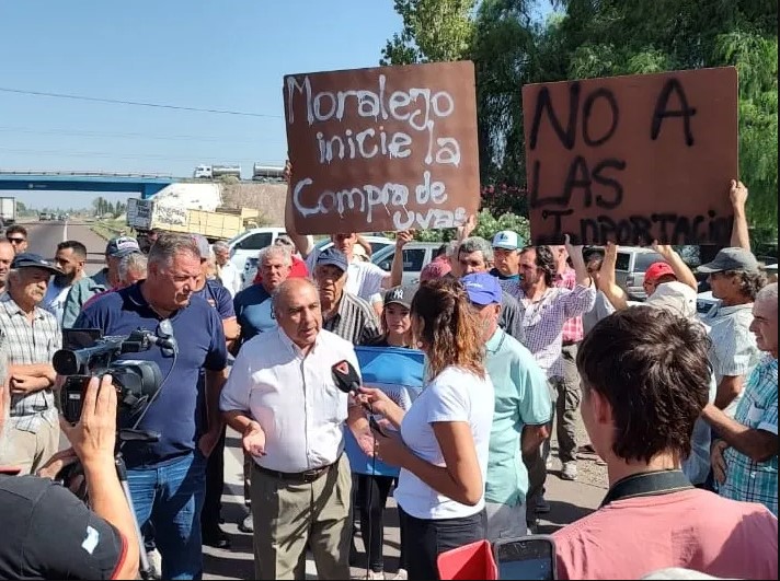 𝗠𝗘𝗡𝗗𝗢𝗭𝗔 𝗣𝗜𝗘𝗥𝗗𝗘 𝗠𝗔́𝗦 𝗗𝗘 𝟭.𝟱𝟬𝟬 𝗩𝗜𝗡̃𝗘𝗗𝗢𝗦 𝗘𝗡 𝗨𝗡𝗔 𝗗𝗘́𝗖𝗔𝗗𝗔 𝗬 𝗘𝗟 𝗖𝗢𝗡𝗦𝗨𝗠𝗢 𝗗𝗘 𝗩𝗜𝗡𝗢 𝗦𝗘 𝗗𝗘𝗦𝗣𝗟𝗢𝗠𝗔