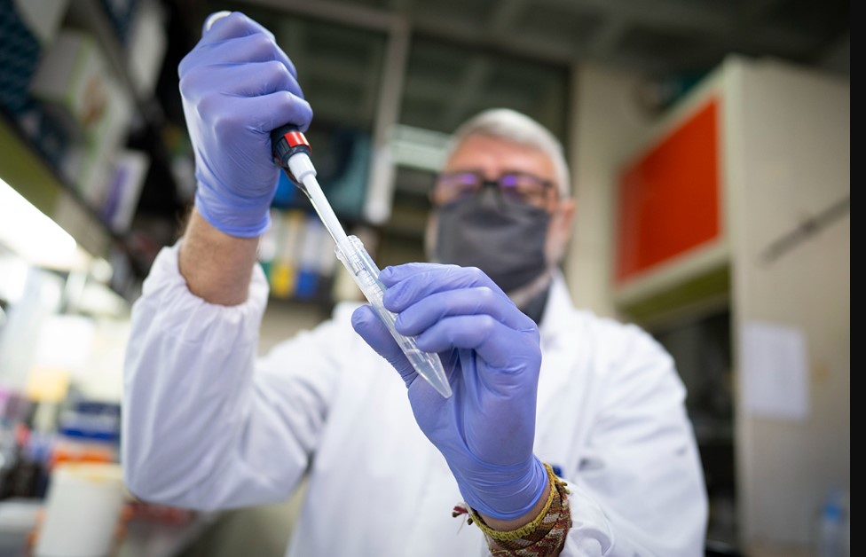 El Nobel de Medicina para tres científicos que descubren por qué nuestro cuerpo no se ataca a sí mismo