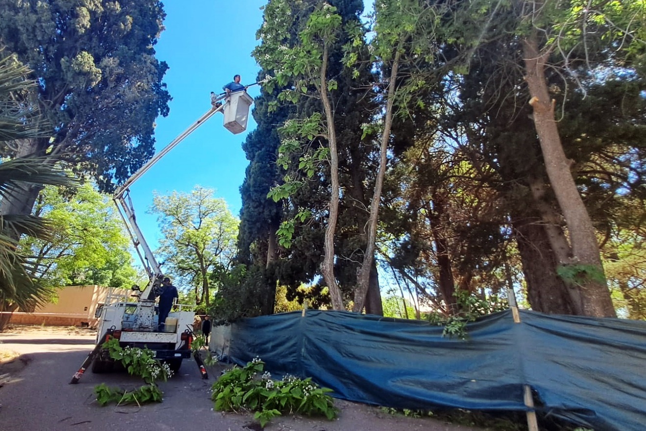 San Rafael avanza con los trabajos para renovar la plaza Ramón Ruiz de Atuel Norte.