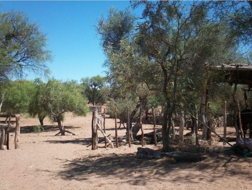 Sin agua y con cinco niños: la historia de Gustavo André que refleja lo que viven muchas familias rurales en Lavalle