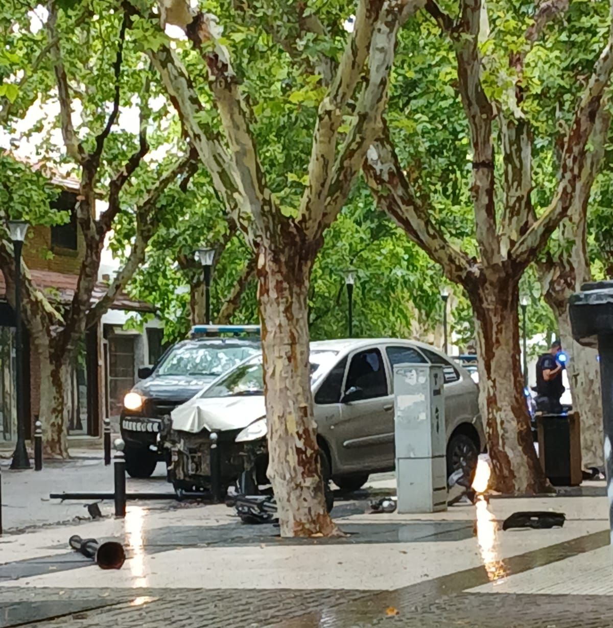 Conductor deberá pagar los graves daños que provocó en el Paseo Pellegrini