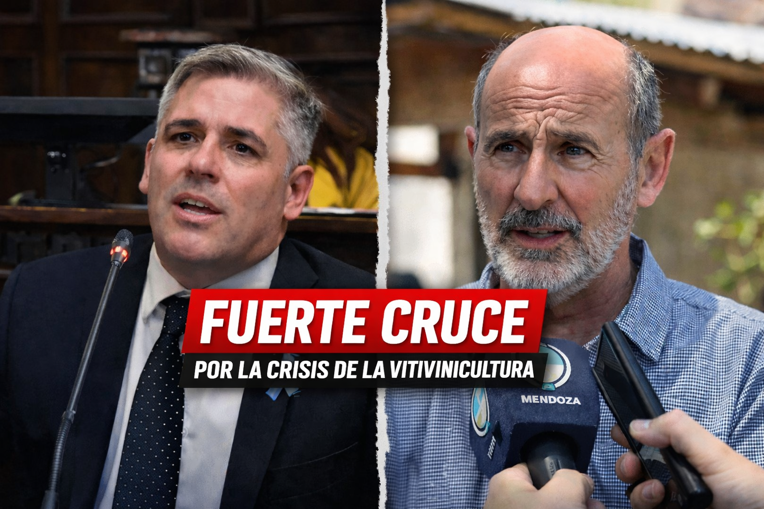 EL DIPUTADO GERMÁN GÓMEZ CITÓ A VARGAS ARIZU A LA LEGISLATURA PARA QUE DÉ EXPLICACIONES POR LA VITIVINICULTURA MENDOCINA