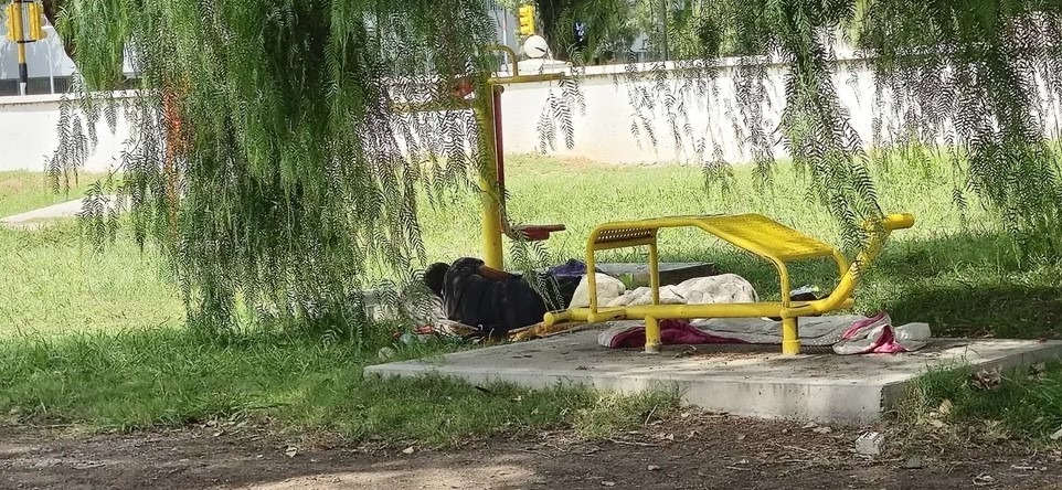 Polémica en el Parque Sarmiento: denuncian encuentros íntimos a plena luz del día