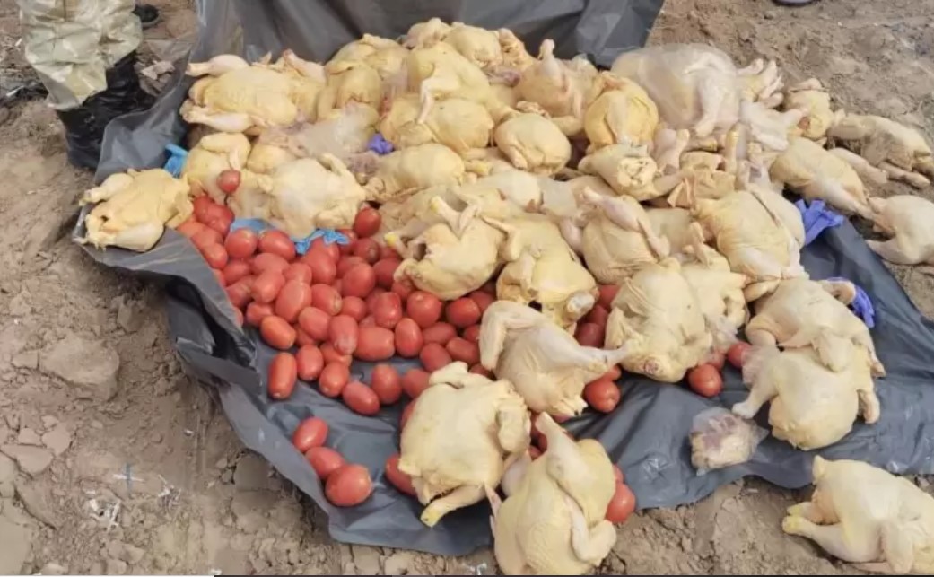 Decomisaron en Guaymallén casi 150 kilos de pollo no apto para el consumo humano