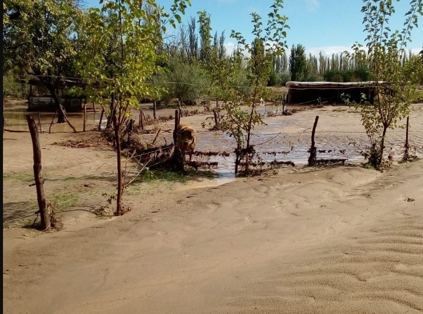 De $1.200 millones a $152 millones: fuerte recorte en un juicio contra Mendoza por un aluvión