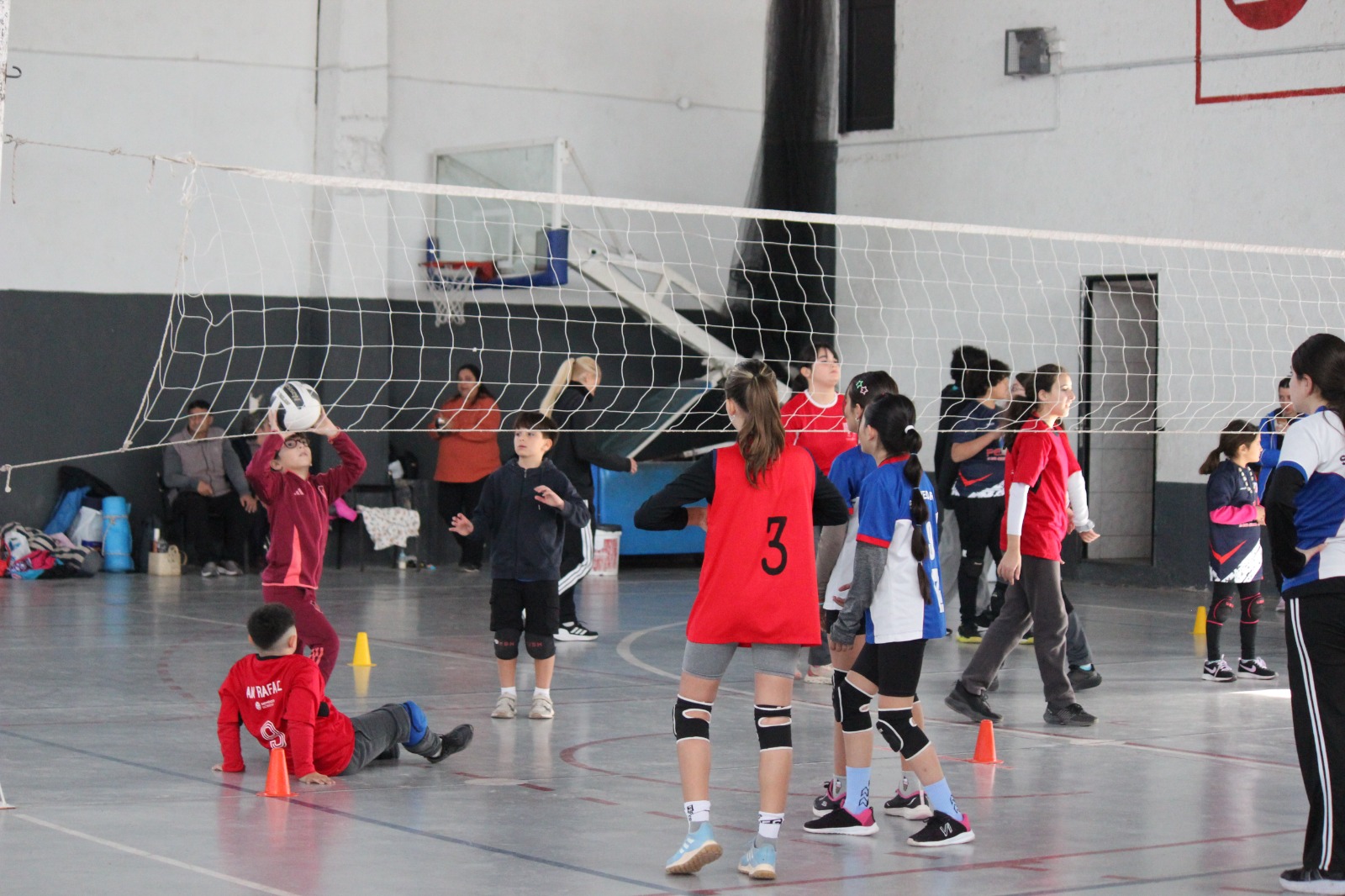 Cientos de chicos participaron de los certámenes de Mini Handball y Mini Vóley